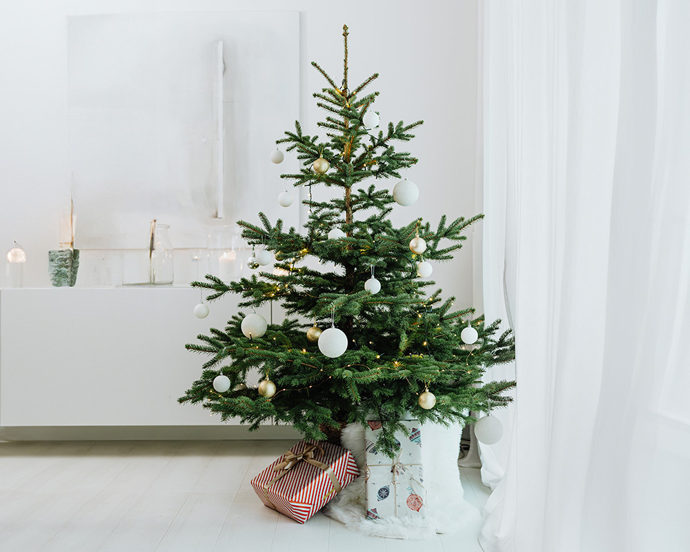 Kuidas kaunistada jõulupuu moodsalt?