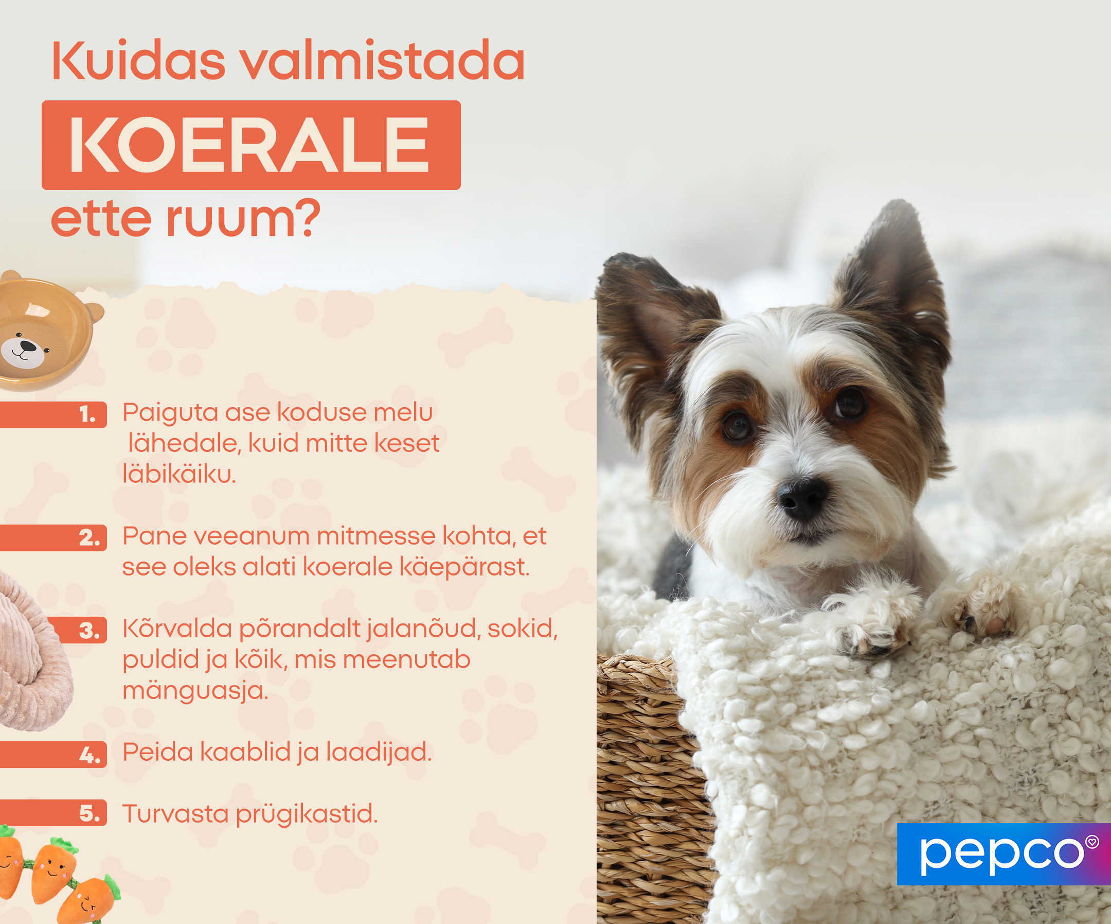 Kuidas valmistada koerale ette ruum? 